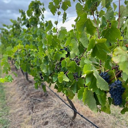 Bracken Ridge Vineyard The Entire Estate Rothbury エクステリア 写真