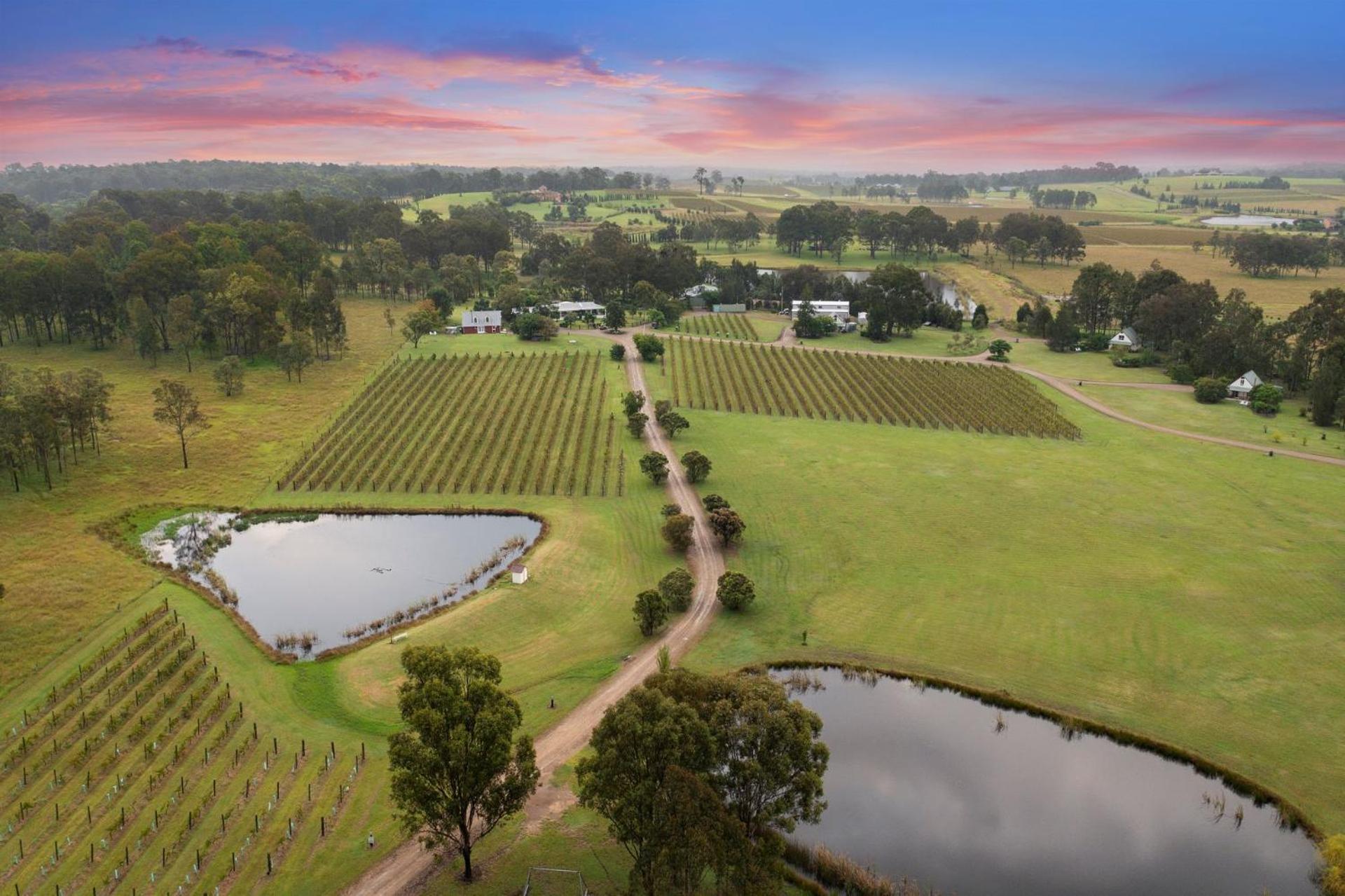Bracken Ridge Vineyard The Entire Estate Rothbury エクステリア 写真