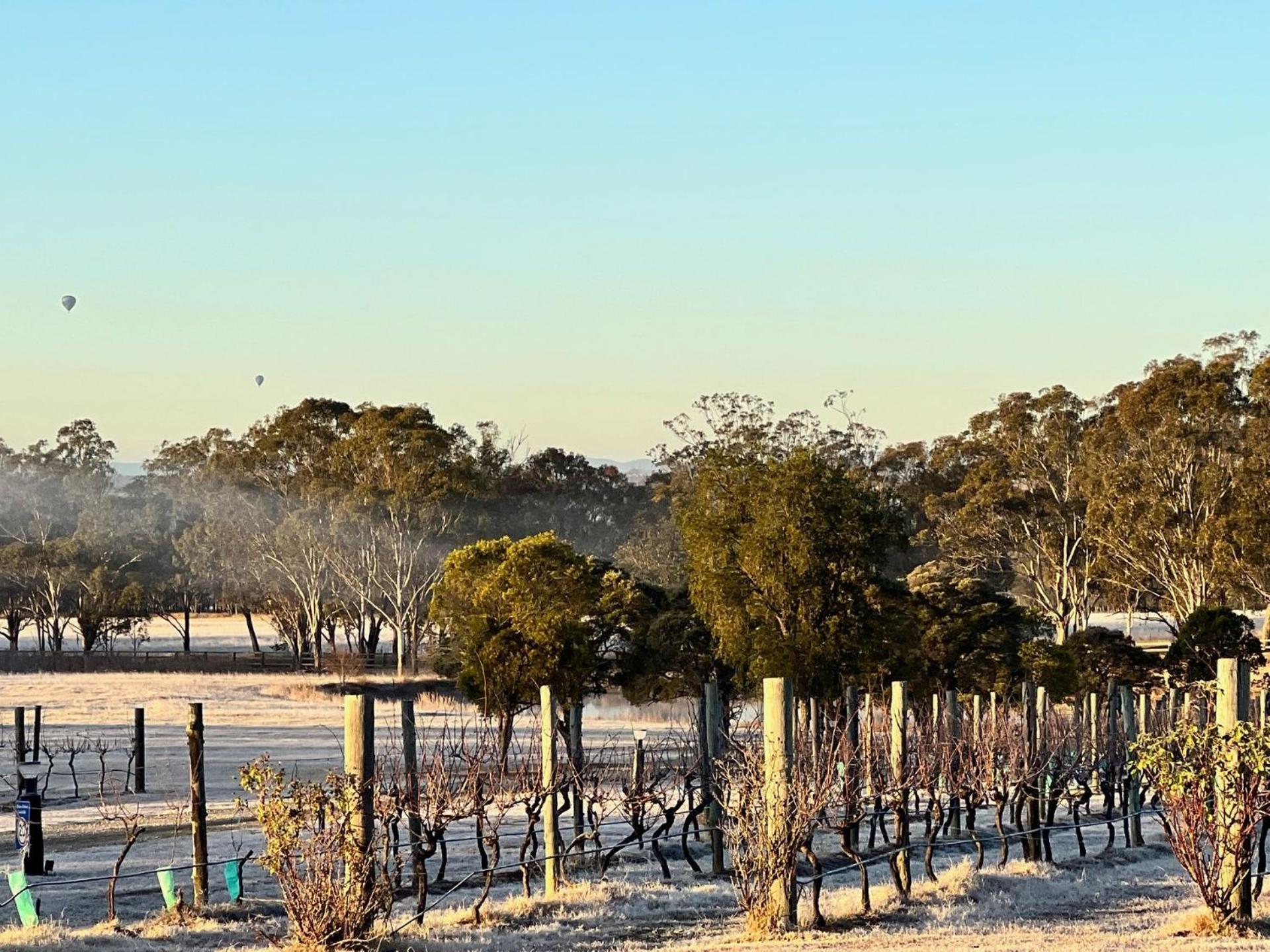 Bracken Ridge Vineyard The Entire Estate Rothbury エクステリア 写真